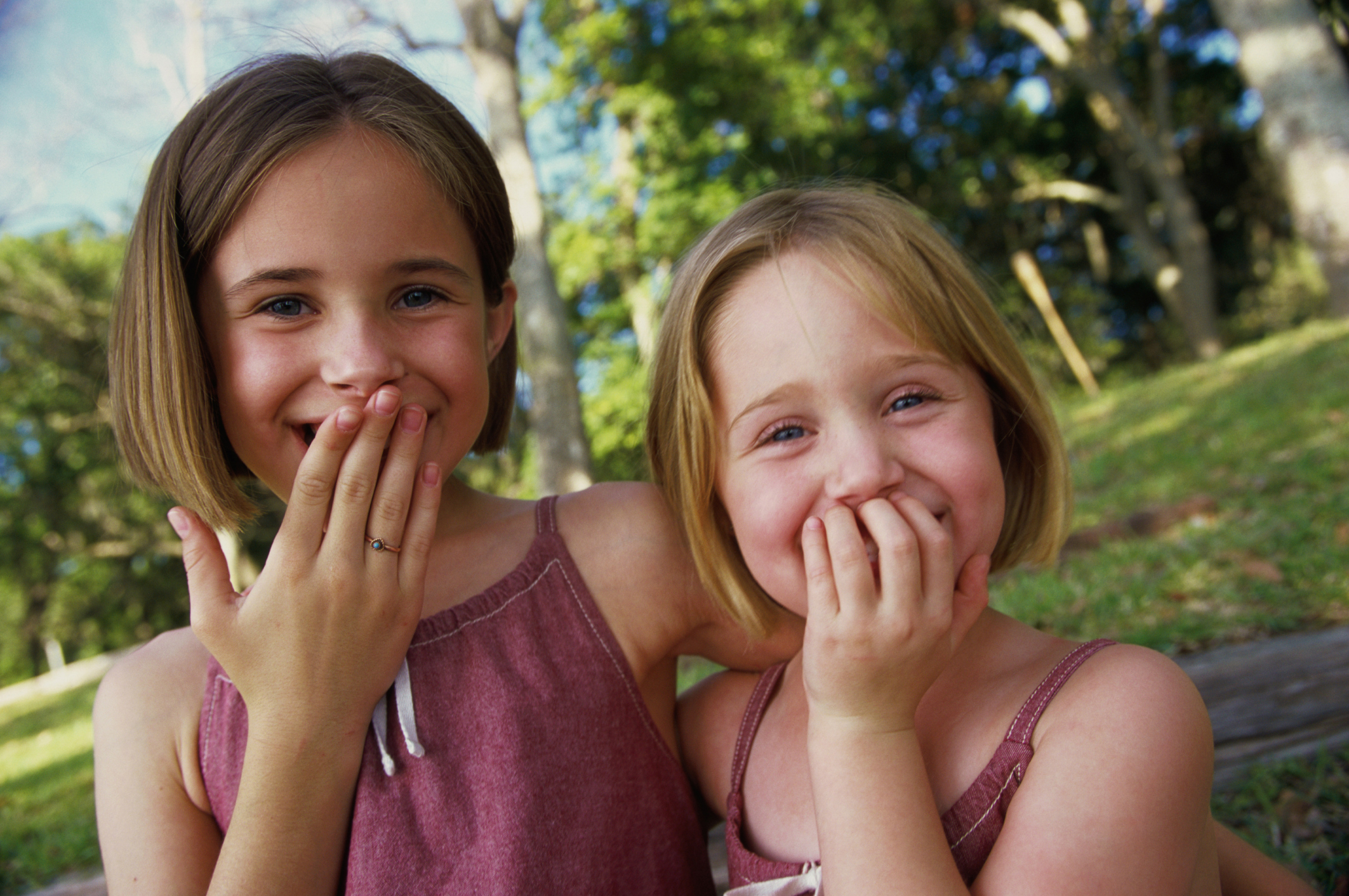 the-importance-of-siblings-psychologies