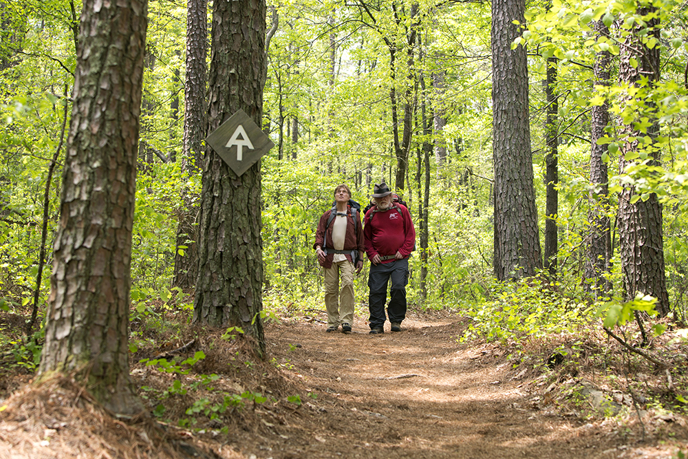 Film review: A Walk In The Woods