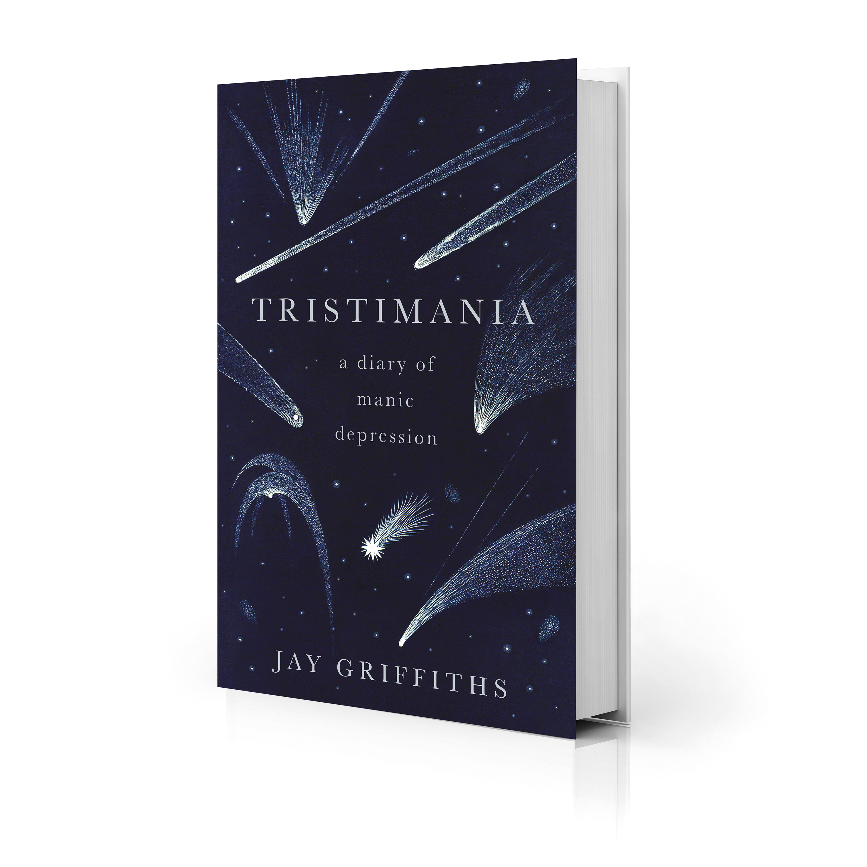 Tristimania: A Diary Of Manic Depression | Psychologies