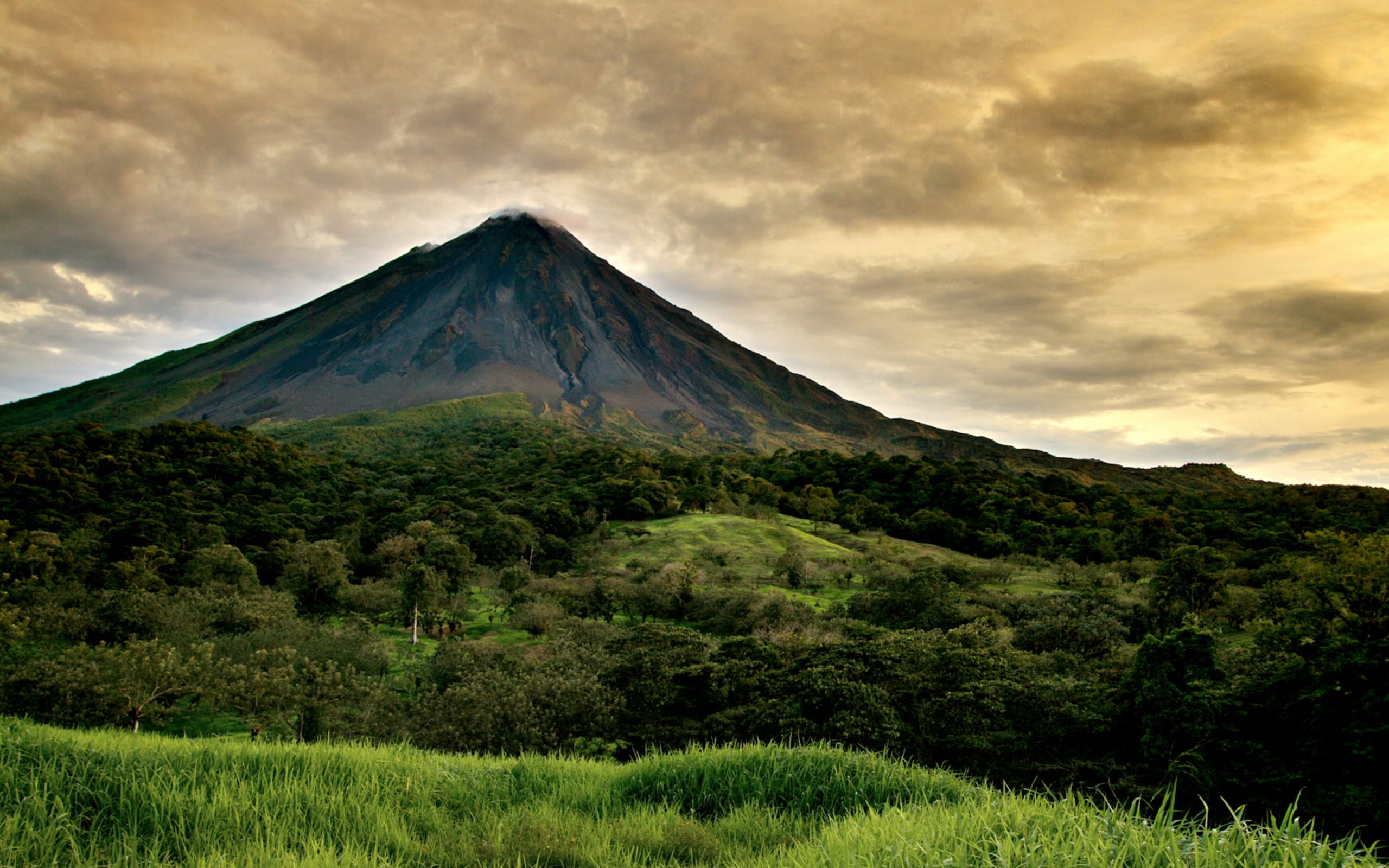 Discovering Costa Rica's magical wellness and wildlife | Psychologies