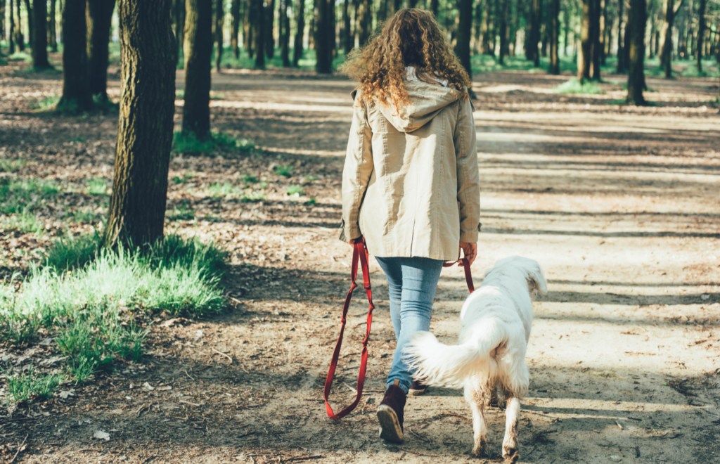 Mindful dog walking: create calmer walks for you & your dog | Psychologies