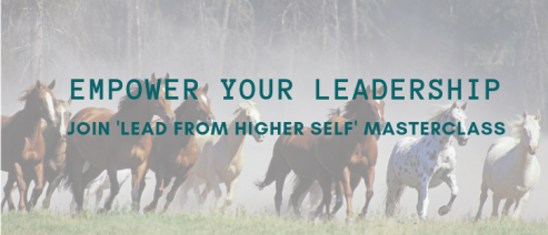 Learn to Lead from Higher Self