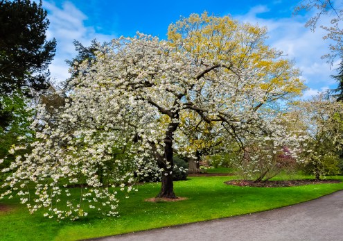 How nature can help us grow in difficult times